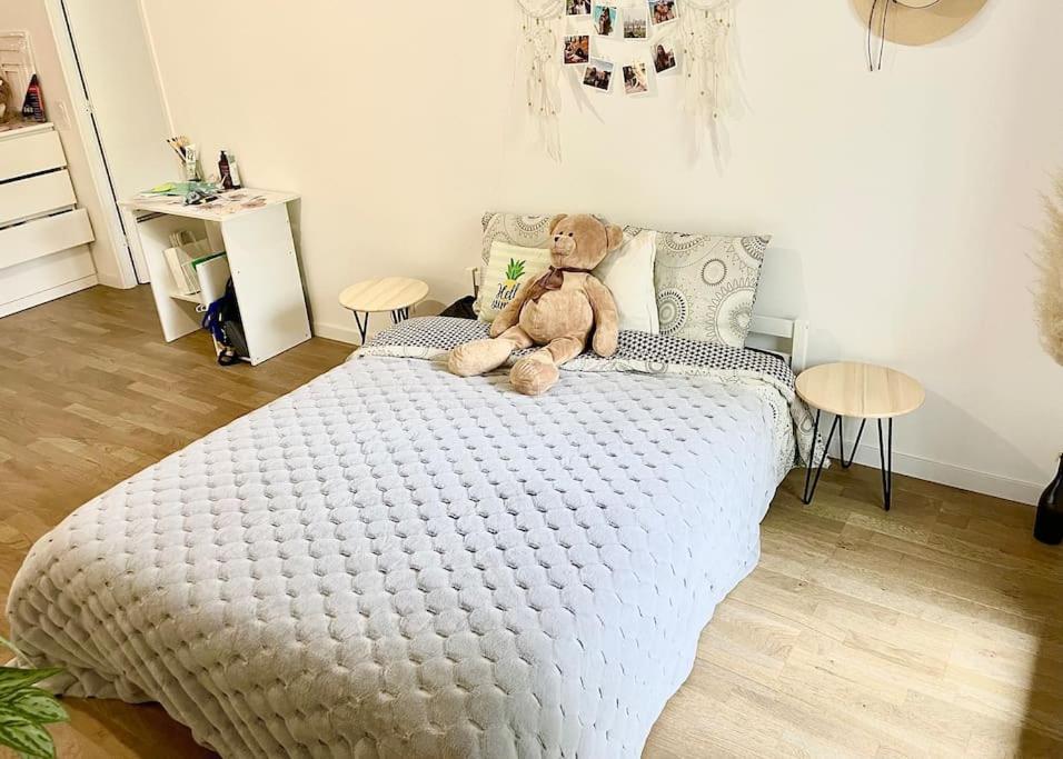 Apartment Cosy And Spacious Near Metro Line 4 & Rer B Bagneux (Hauts-de-Seine)